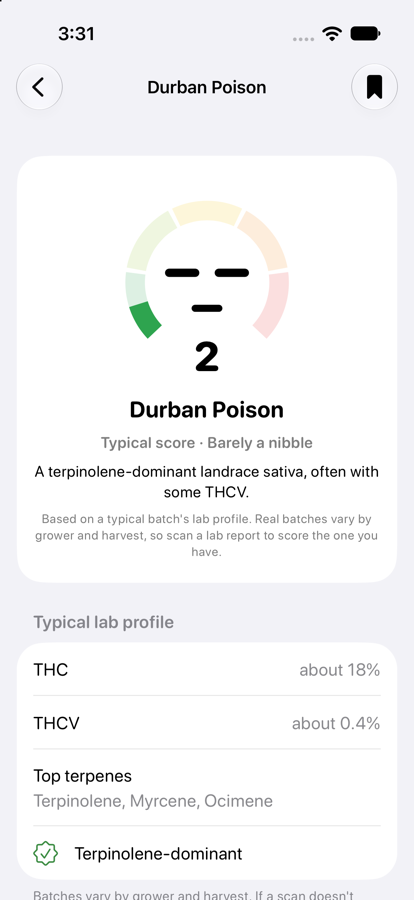 A strain profile for Durban Poison with a typical score of 2 and its usual lab profile: THC about 18 percent, THCV about 0.4 percent, terpinolene-dominant.